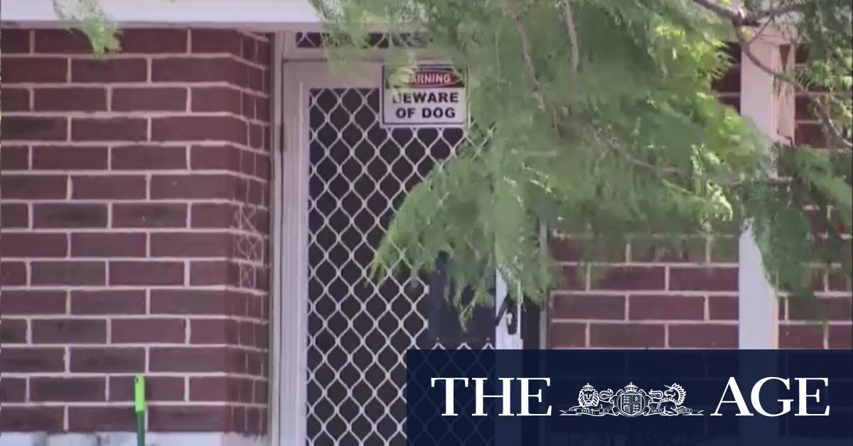 WA Police shoot dog dead during arrest in Perth's east - Vimarsana News
