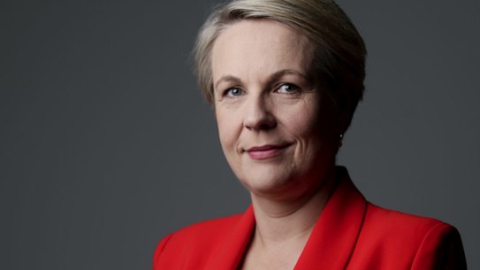 Portrait of Deputy Opposition Leader Tanya Plibersek in the press gallery at Parliament House in Canberra on  Wednesday 20 Febrruary 2019. fedpol Photo: Alex Ellinghausen