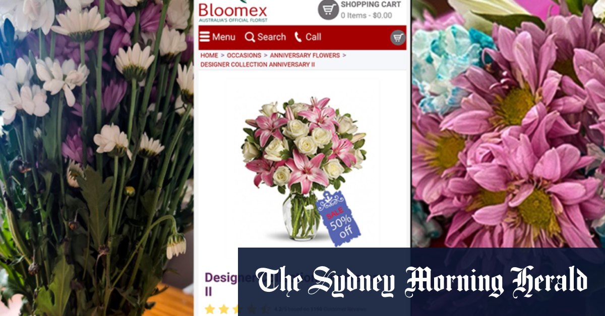 Shonky awards 2022: Qantas, Bloomex, Zega Digital cookware, Steggles chicken , VetPay named. - Vimarsana News