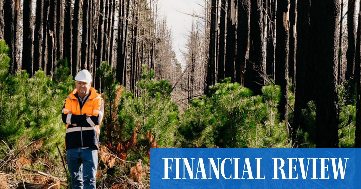 Kiland's 87 per cent owned Nobrac is developing the world's largest biochar project on Kangaroo Island. - Vimarsana News