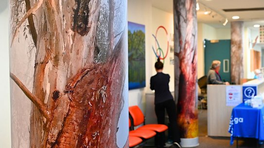 A arte em vinil está em exibição na Albury Wodonga Health. 