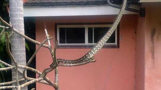 Hard to say how long we lived together. 