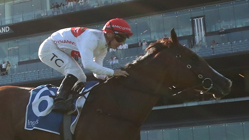 Tips and race-by-race guide for Rosehill on Saturday
