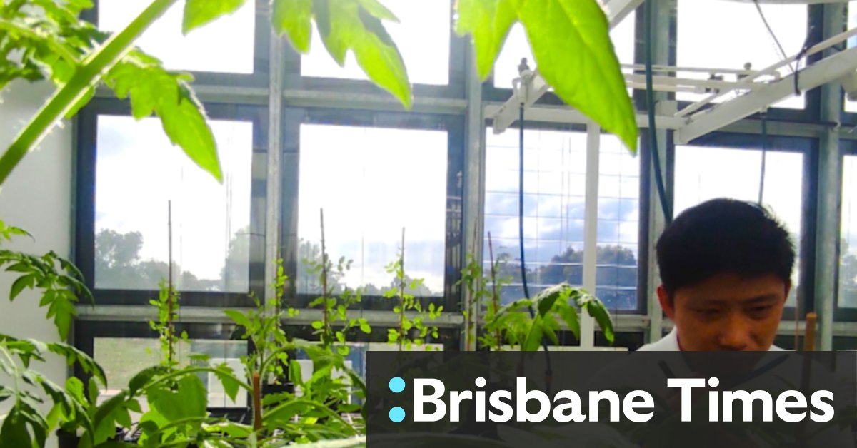 ClearVue unveils first Aussie solar window manufacturer - Vimarsana News