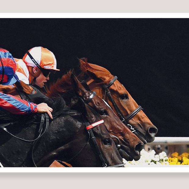 Jockey Craig Williams (right) rides Vow and Declare to victory at the 2019 Melbourne Cup.