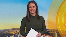 Danika Mason and her partner, Liam Knight, are expecting a baby, with the Today host confirming she is pregnant.