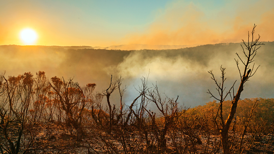 Climate change means businesses must prepare for more extreme weather events, say insurers.