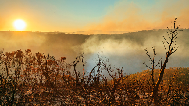 Data shows 2020 was a year of record temperatures.