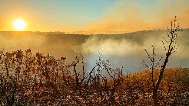 Climate change means businesses must prepare for more extreme weather events, say insurers.
