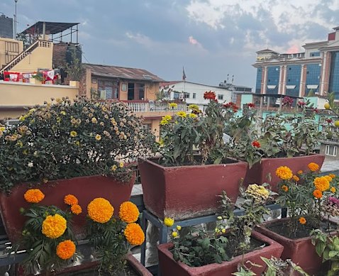 The view from my uncle’s house in Kathmandu.