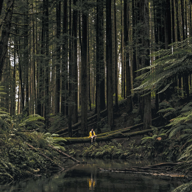 Wilderness in Victoria. In the words of David Attenborough: 
“We depend upon the natural world for every mouthful of food we eat and every lungful of air we breathe.”