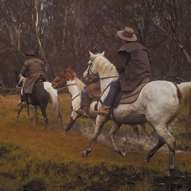 Locals look out for brumbies to rescue in Victoria’s Bogong High Plains. The fragile ecosystems of such alpine areas are under threat from trampling by a soaring population of wild horses.