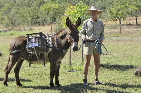 Kachana Station owner Chris Henggler with a pack donkey. 