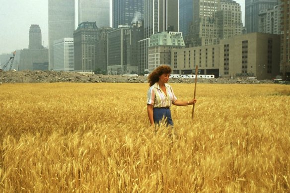 Agnes Denes’ Wheatfield in 1982.