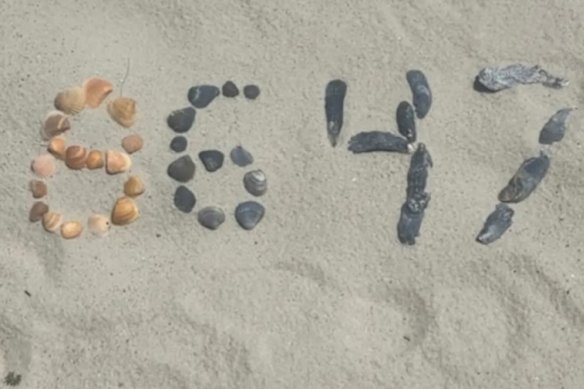 The image from an Instagram post below that Comey wrote was a “cool shell formation on my beach walk”.