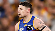 Lachie Neale has his one-game ban for striking Jack Ginnivan upheld by the AFL tribunal.
