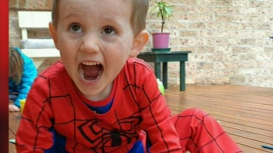William Tyrrell's biological mother and father appeared before the Coronial inquest on Thursday.