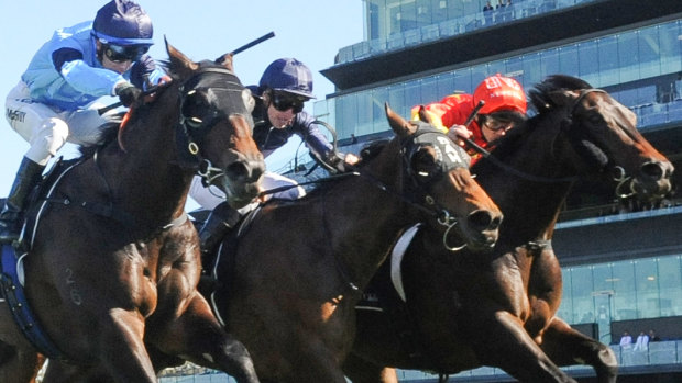 Art Collection (middle) runs second to Madela (right) at Randwick last start and can go one better in race 2.