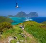 Between its wildlife and landscapes, Lord Howe Island offers plenty of photo opportunities.