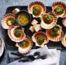 Grilled scallops with herb butter
