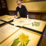 From history's page: original native flora prints come home to the State Library