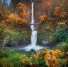 This is a very high resolution panorama photograph of Multnomah Falls in autumn colors.