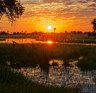 Sunset in the wildlife-rich Okavango Delta, Botswana.