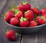 How to grow strawberries in Canberra