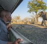 Linyanti, Botswana: Elephants feast in close range to safari's luxury tents