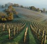 Coldstream Hills, Yarra Valley.