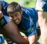 ACT Brumbies start search to fill sizeable hole left by David Pocock in 2017