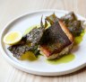 Murray cod with macadamia, vine leaf and salsa verde. 