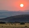 Antelopes at sunset.