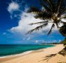 Oahu's North Shore: The most famous surf beaches in Hawaii