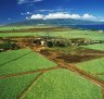 Sugar Museum, Maui, Hawaii: The surprising role sugarcane play in Hawaii's history