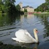 Scenic’s Beautiful Bordeaux itinerary includes visiting Chateau Lagrange. 