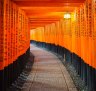 Kyoto, Japan - March 29, 2015: Torii gates in Fushimi Inari Shrine. xxOneAndOnlyKyoto
One and Only Kyoto by Ute Junker
cr: iStock (downloaded for use in Traveller, no syndication, reuse permitted)Â 