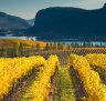 Blue Mountain Vineyard in the Okanagan Valley.