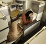 阿联酋航空A380商务舱。