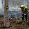 How ready is the ACT for this year's bushfire season?