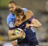 Brumbies beat Bulls to get season back on track but plenty of work to do