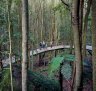 The Blue Mountains, NSW: Scenic World has something for art lovers, wildlife tragics and thrillseekers