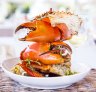 Mud crab is served with a bib and finger bowl at Noosa Beach House.