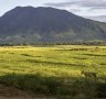 Zimbabwe, Mana Pools: A game park where guests can walk among the wildlife