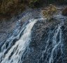 Dip Falls and Big Tree, Dip River Forest Reserve: Tasmania's unusual hexagonal-like natural wonder