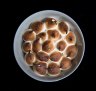 Queen of puddings: Milk cake and coffee, chocolate mascarpone and meringue.