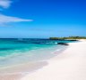 Pristine beach on Santa Cruz, Galapagos.