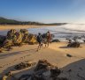 The recently inaugurated Wharf to Wharf walk will take you 27 kilometres north to Tathra if you're up for it.