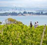 New Zealand: Day trip to Waiheke Island - what to see and do