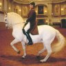 Dancing with horses: The Spanish Riding School of Vienna